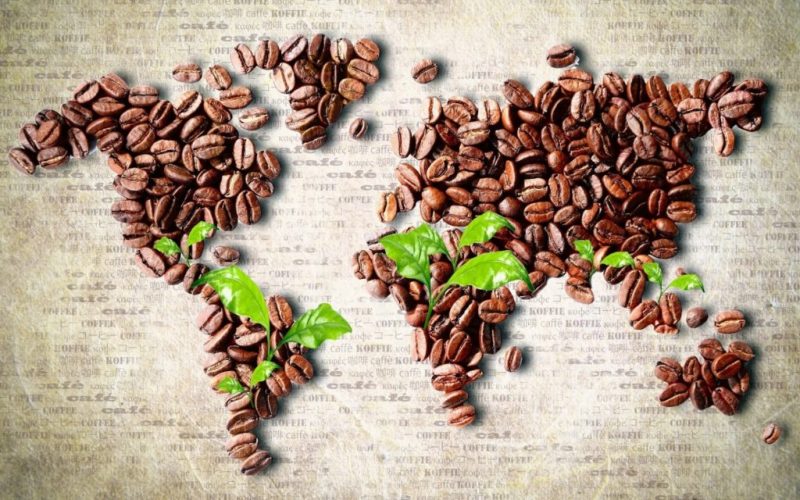 Страны производители кофе